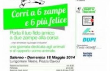 corri a 6 zampe