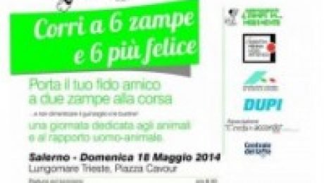 corri a 6 zampe